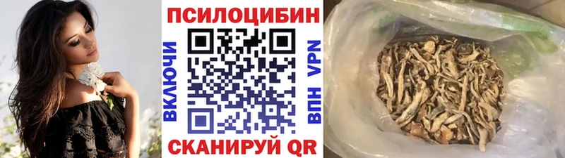 мега маркетплейс Емва Псилоцибиновые грибы Cubensis